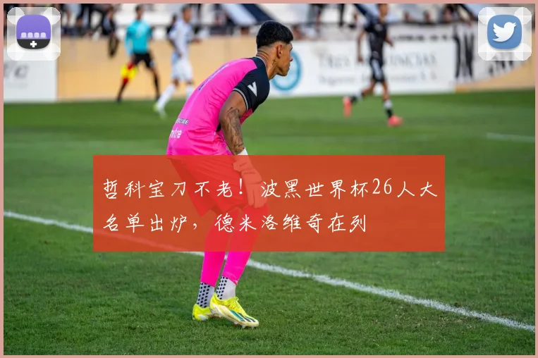 哲科宝刀不老！波黑世界杯26人大名单出炉，德米洛维奇在列